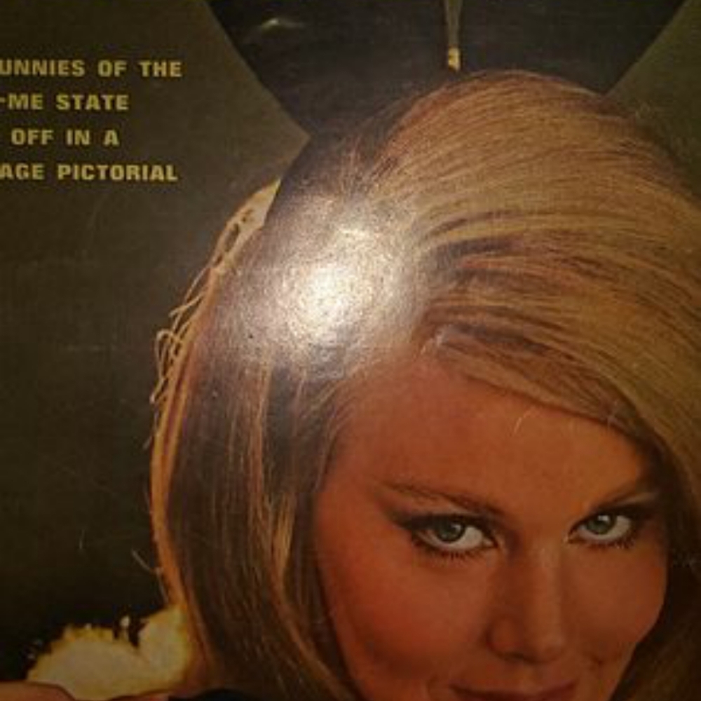 Playboy magazinesranging from 1962- 1982 subscript